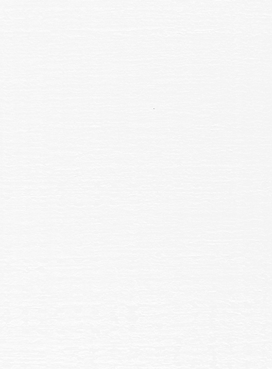 BIANCO ORIZZONTALE