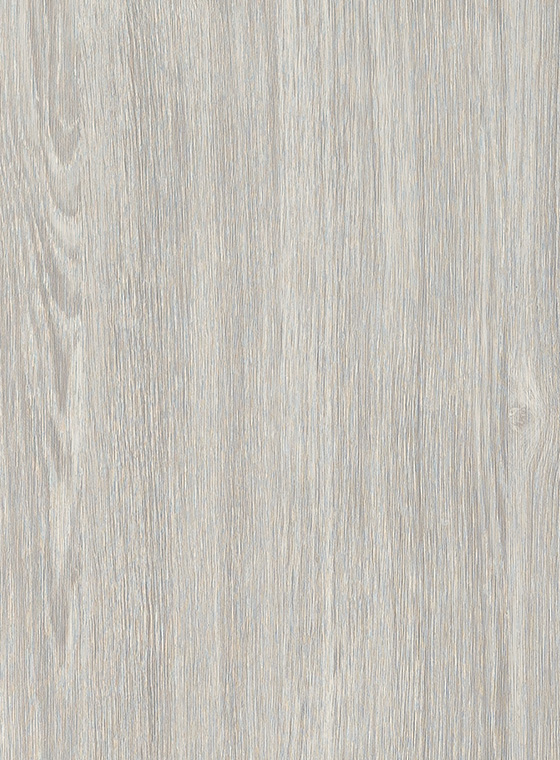 QUERCIA BIANCA