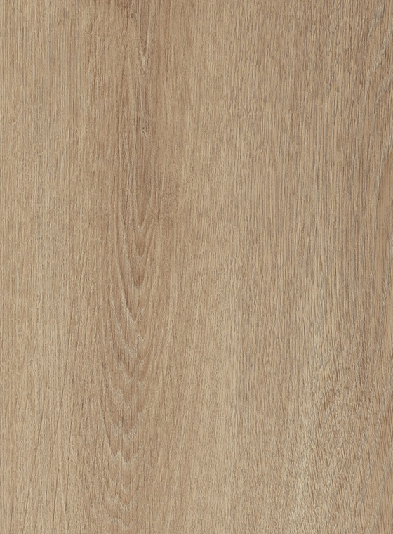 QUERCIA ROSSA